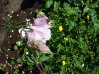 DSC03765.webp