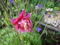 DSC03829.webp