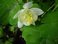 DSC03832.webp