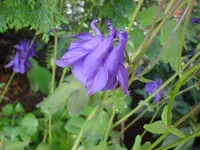 DSC03833.webp