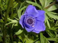 DSCI0936.webp