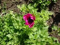 DSC03779.webp
