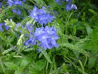 DSC03809.webp