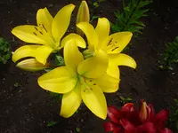 DSC03810.webp