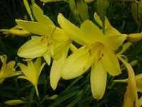 DSC03812.webp