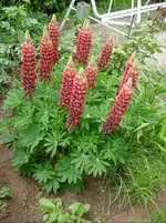 DSC03813.webp