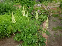 DSC03819.webp
