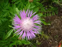 DSC03820.webp
