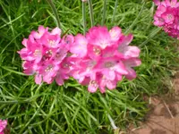 DSC03822.webp