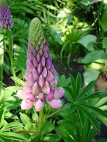 DSC03841.webp