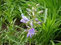 DSC03825.webp