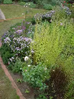 DSC04060.webp