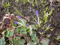 DSC04093.webp
