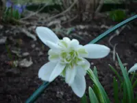 DSC04107.webp