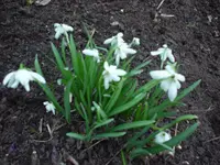 DSC04108.webp