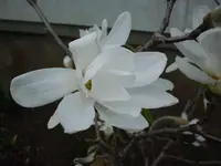 DSC04122.webp