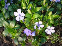 DSC04217.webp