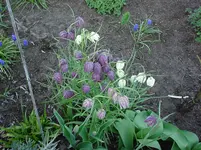 DSC04221.webp