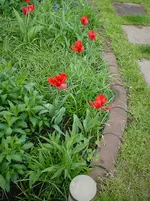 DSC04254.webp