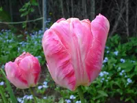 DSC04276.webp