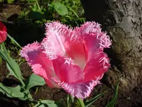 DSC04318.webp