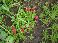 DSC04271.webp