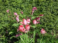 DSC04304.webp
