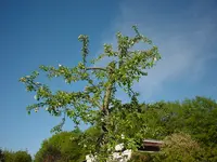 DSC04305.webp
