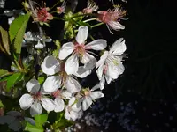 DSC04308.webp