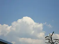 DSC03194.webp