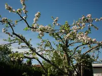 DSC04310.webp