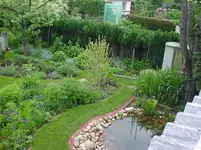 DSC04420.webp