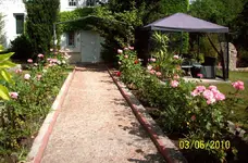 Rosen_5.webp