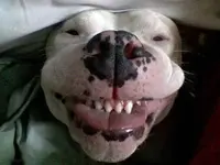 Lilly 9 Nimm Dir immer Zeit zum Laecheln.webp