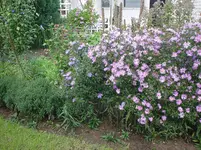 DSC02874.webp