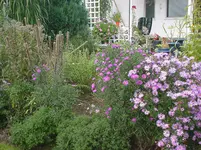 DSC02876.webp