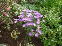 DSC02917.webp