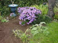 DSC03604.webp