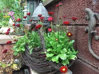 CIMG2248.webp