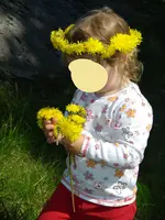 IMGP2944.webp