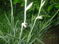 03.06.2010 043.webp