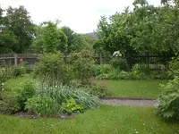Garten Mai6 009.webp