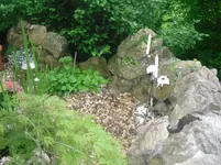 03.06.2010 060.webp