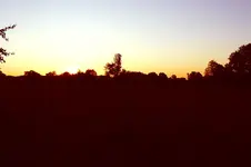fronleichnam.webp