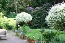 IMG_1984 - Kopie.webp