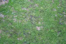 IMG_5500.webp