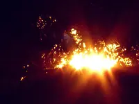 fronleichnam4.webp
