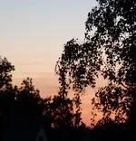 P1030927.webp