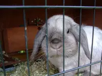 k-DSCF0095.webp