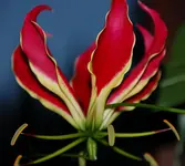 DSC_5346.webp